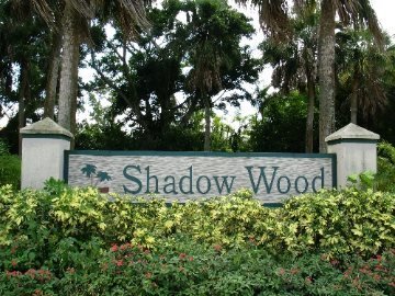 Shadow Wood